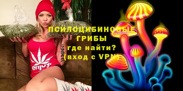 спиды Абаза