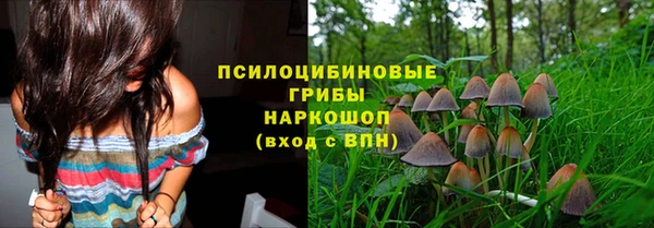 спиды Абаза