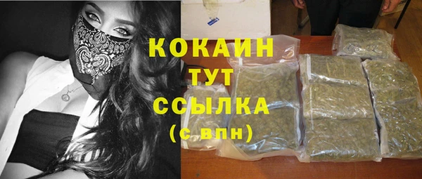 спиды Абаза