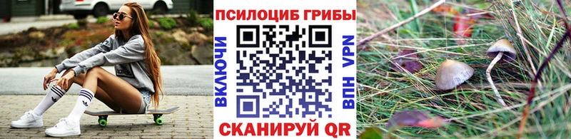 OMG как войти  где купить   Скопин  Галлюциногенные грибы прущие грибы 